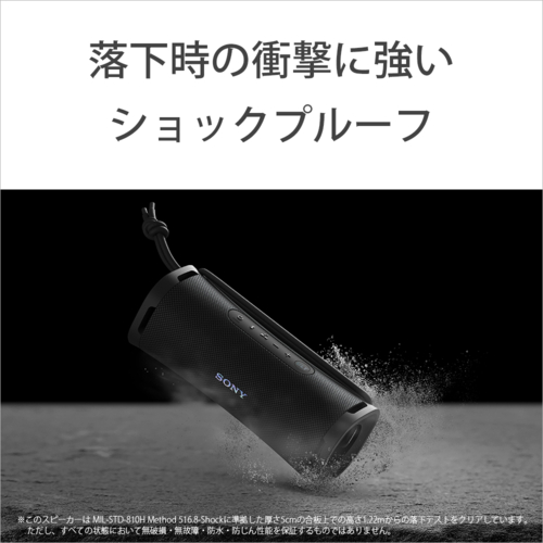 スピーカー・ウーファー SRS ULT10 ULT FIELD 1（SRS-ULT10） 購入 | アクティブスピーカー／ネック