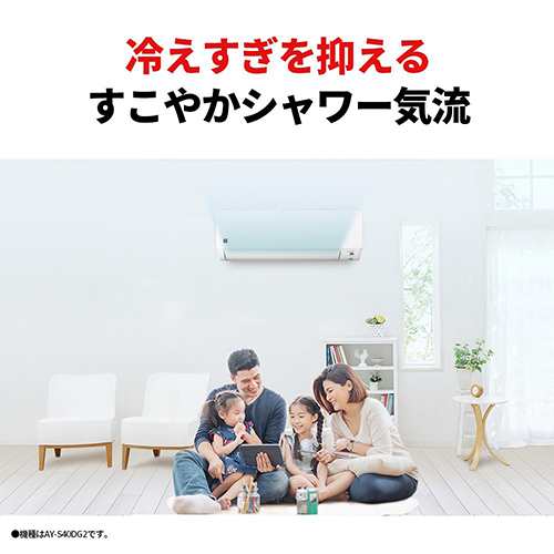 シャープ(SHARP) エアコン 6畳 2.2kw AY-S22DG シャープ DGシリーズ 電源100V[配送のみ/設置工事なし]の通販は