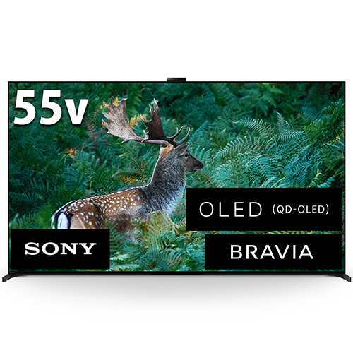 ソニー SONY XRJ-55A95L BRAVIA 4K 55V型 有機ELテレビ