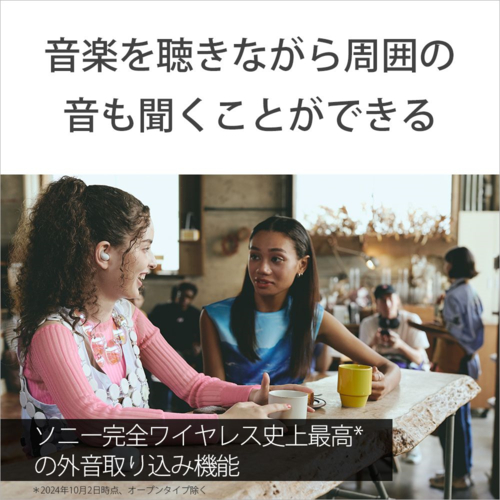 ソニー(SONY) WF-LS910N-BZ ブラック LinkBuds Fit 完全ワイヤレスイヤホン Bluetooth5.3 その他ヘッドホン・イヤホン