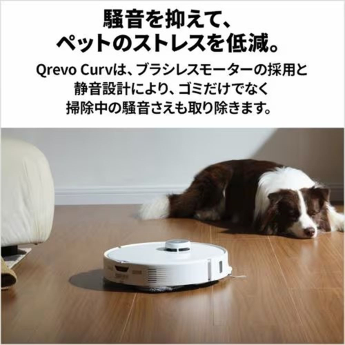 長期保証付】ロボロック(Roborock) ROBOROCK Qrevo Curv QRC02-04