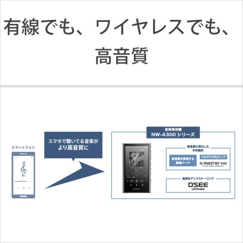ソニー(SONY) NW-A307 L ブルー ハイレゾ音源対応 ウォークマン Aシリーズ 64GB_3