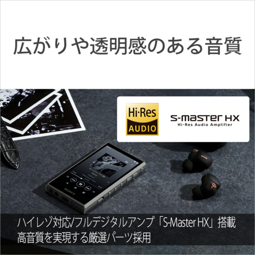 ソニー(SONY) NW-A307 H グレー ハイレゾ音源対応 ウォークマン Aシリーズ 64GB_4