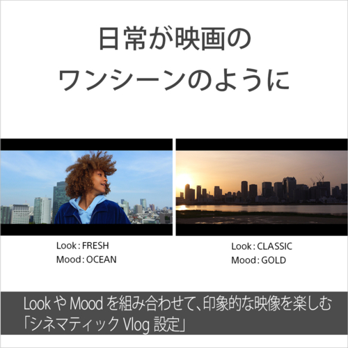 ソニー(SONY) VLOGCAM ZV-1 II ZV-1M2 W ホワイト 1.0型 大型センサーデジタルカメラ ZV1M2W_2