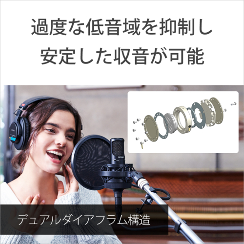 ソニー(SONY) C-80 コンデンサーマイクロホン ホームスタジオ用マイク_3