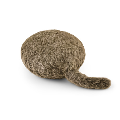 松野千冬 フライヤー 松野千冬 フライヤー 松野千冬 フライヤー 松野千冬 フライヤー