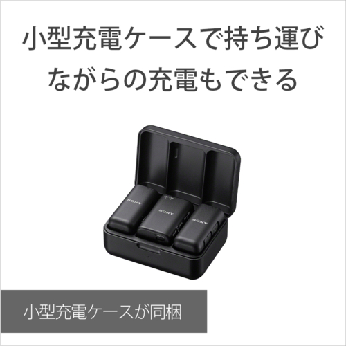 ソニー(SONY) ECM-W3 ワイヤレスマイクロホン 【公式通販】