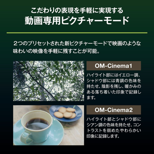 OM SYSTEM OM-5 Mark II SLV シルバー ボディ ミラーレスデジタル一眼カメラ IP53防水防塵対応_16
