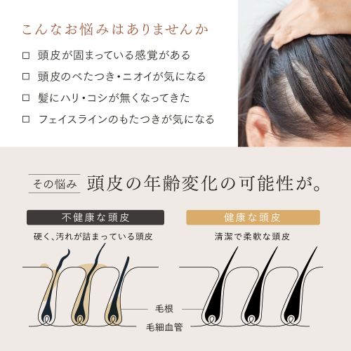 マイトレックス(MYTREX) MT-HSDX-24-B-B ブラック MYTREX HEAD SPA 