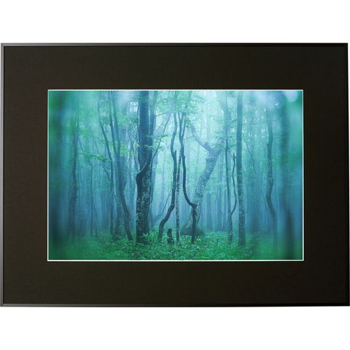 ケンコー(Kenko) AGY-A3N-BK ブラック ギャラリー A3ノビ