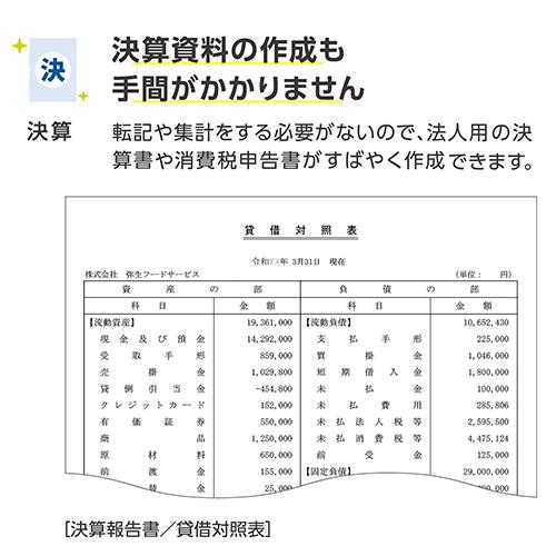 弥生 弥生会計 26 プロフェッショナル 通常版 YRAV0001_4