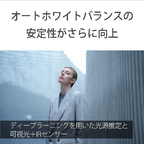 【長期間言いはなつ付】ソニー(SONY) α7R VI 上半身 鏡鑑レスデジタルカメラ ILCE-7RM6