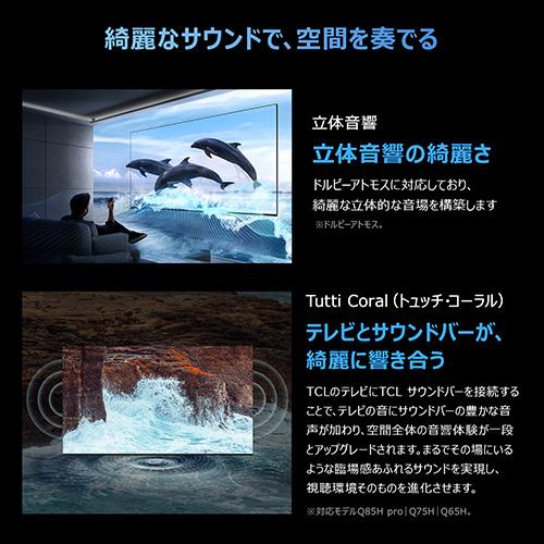 【長期保証付】TCL(ティーシーエル) 55T6D 55V型 4K 量子ドットQLED液晶テレビ Google TV_17