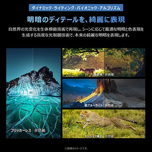 【長期保証付】TCL(ティーシーエル) 55T6D 55V型 4K 量子ドットQLED液晶テレビ Google TV_8
