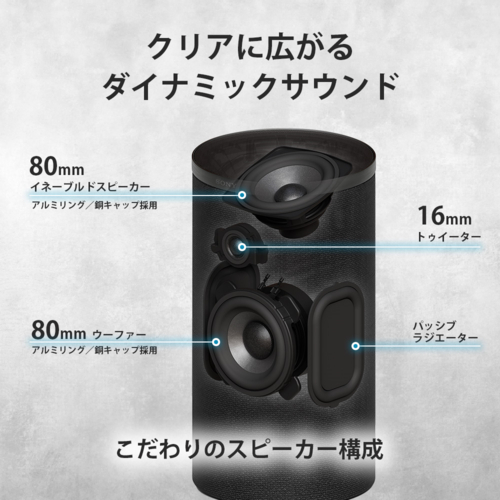 ソニー(SONY) SA-RS9 BRAVIA Theatre Rear 9 リアスピーカー 大口径