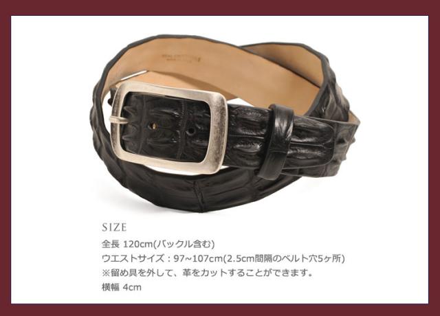 ベルト レディース イタリア製ポロサスホーンバック40mm/ダブル