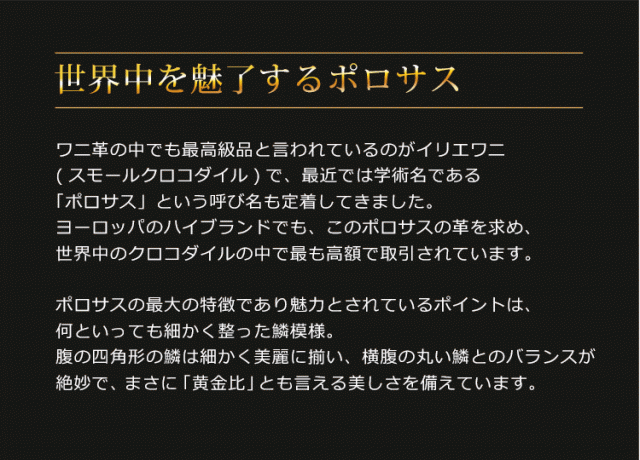 スモール クロコダイル メンズ 長財布 マット 加工 手帳型 センター