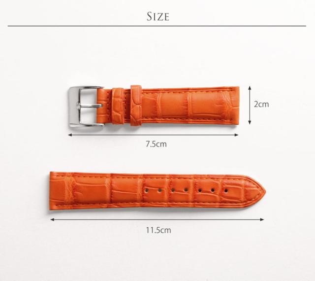 腕時計 付け替え用 ベルト 本革 メンズ アリゲーター 鰐皮 20mm 男 交換用 スペアベルト レザーベルト 防水