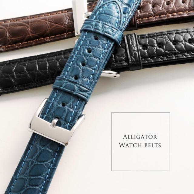 腕時計 付け替え用 ベルト 本革 メンズ アリゲーター 鰐皮 20mm 男 交換用 スペアベルト レザーベルト 防水