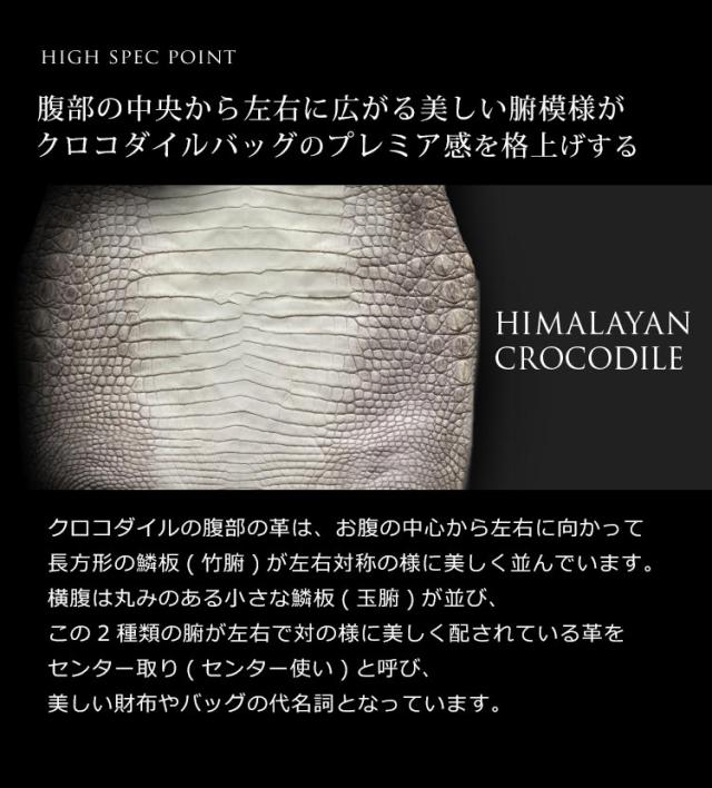 ヒマラヤ クロコダイル ハンドバッグ シャイニング 加工 センター取り あおりポケット 付き 天ファスナー 2WAY (No.06001423)_11