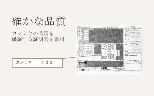 カシミヤ 100% マフラー フリンジ付き メンズ ストール 【ネコポスで