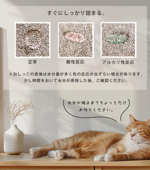 猫砂 健康チェック おから 5個セット 天然素材 ph おしっこチェック 流せる 固まる 軽い 消臭 ネコノスナPRO 5L 猫の砂 抗菌 防カビ 溶岩石配合 飛び散らない 猫トイレ 燃えるゴミ 猫用 軽量 無香料 (09000675-set-1r)_14