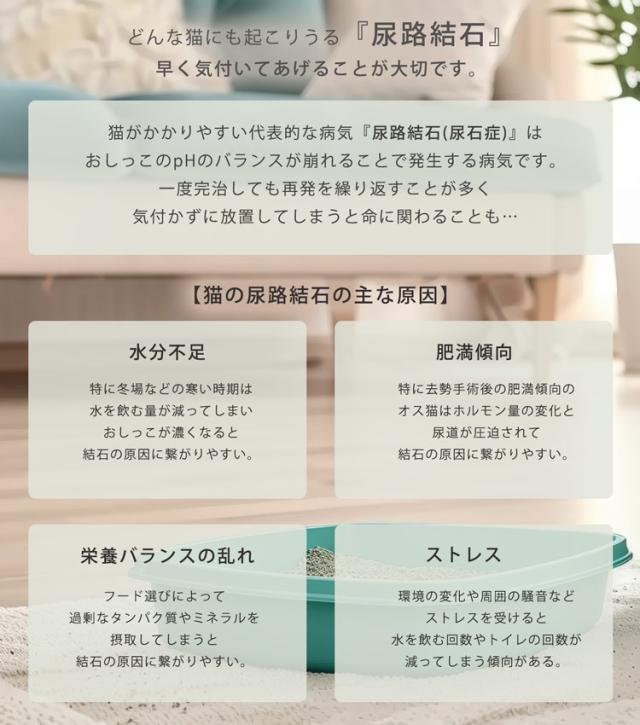 猫砂 健康チェック おから 5個セット 天然素材 ph おしっこチェック 流せる 固まる 軽い 消臭 ネコノスナPRO 5L 猫の砂 抗菌 防カビ 溶岩石配合 飛び散らない 猫トイレ 燃えるゴミ 猫用 軽量 無香料 (09000675-set-1r)_1