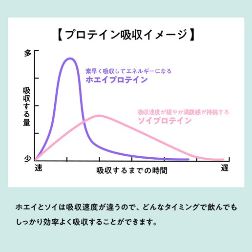 半額以下】プロテイン福袋 Wプロテイン tive（ティブ）選べる4個入り(500g×4) シェイカーかお試し200gおまけ選べるの通販はau PAY  マーケット - 美味しさは元気の源 自然の館 あじげん | au PAY マーケット－通販サイト