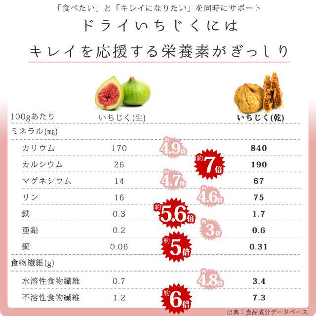 ドライいちじく100g ×3パック ドライフルーツ - 果物