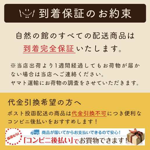 ラッキーミックスナッツ 700g 大容量 無添加 無塩 有塩選べる ナッツ アーモンド ミックスナッツ 家飲み 保存食 食品ランキング１位獲得｜au  PAY マーケット