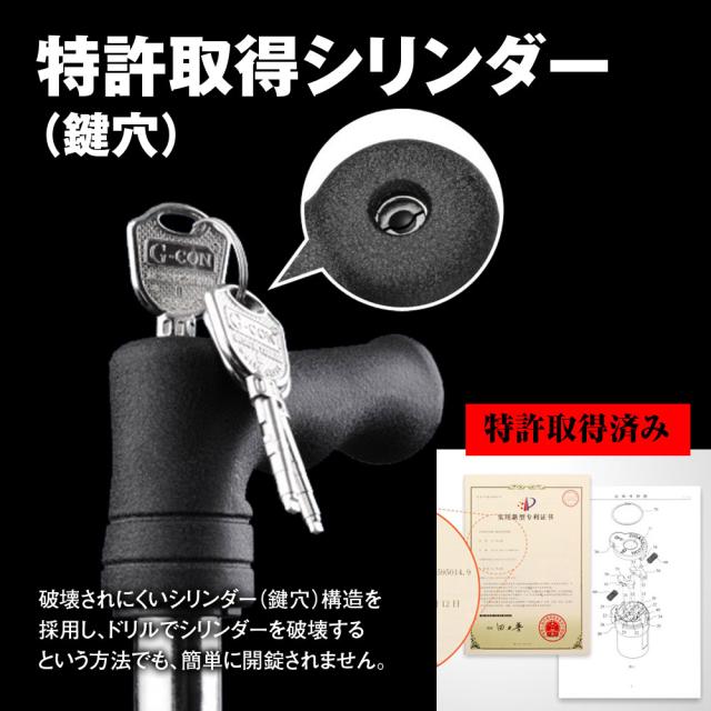 ブレーキロック(車両盗難対策品) ブレーキロック盗難 車盗難防止グッズ ヴェルファイア 30系 対応