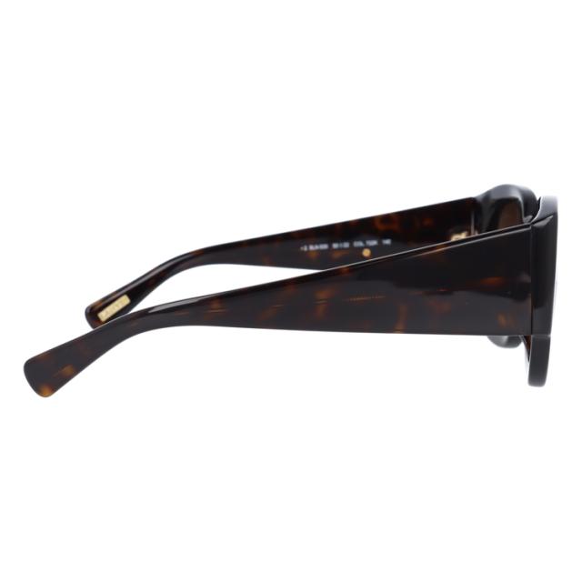 【国内正規品】ランバン パリス サングラス LANVIN PARIS SLN630 722K 50サイズ ウェリントン型 レギュラーフィット ユニセックス メンズ レディース アウトドア ドライブ UVカット 紫外線_4