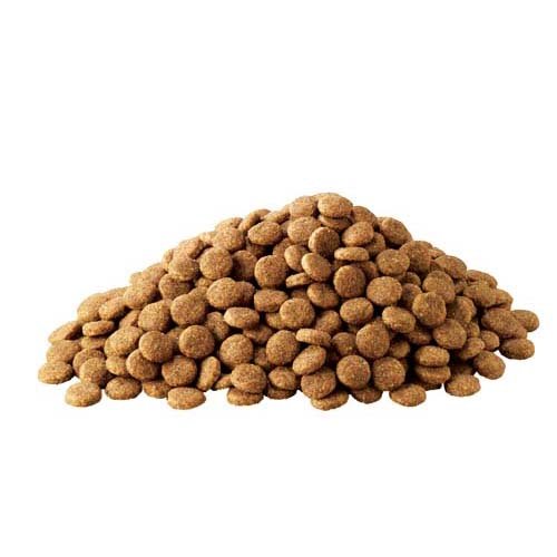 アイムス ７歳以上用 健康サポート チキン 中粒(5kg*2コセット)[ドッグフード(ドライフード)]_1