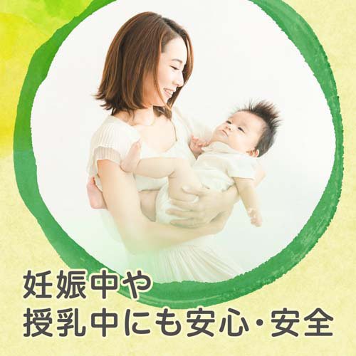 日食 オーガニック ピュア トラディショナル オートミール ロールドタイプ(800g×10セット)[シリアル]