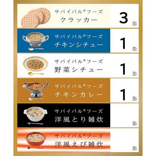 サバイバルフーズ チキンシチュー クラッカー 6缶セット 2040年
