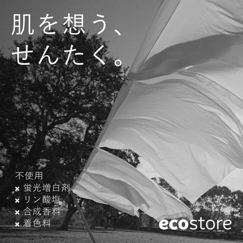 エコストア ランドリーリキッド 無香料 リフィルパック(1L×10個入)[エコ洗剤・環境洗剤]