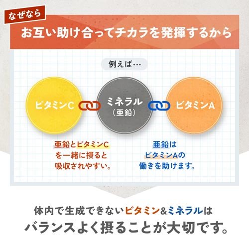マルチビタミン＆ミネラル Base POWER(90粒入×10セット)[マルチミネラル]_4