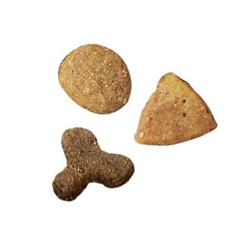 ピュリナワン キャット ドライ 避妊・去勢した猫の体重ケア サーモン＆ツナ(2kg×2セット)[キャットフード(ドライフード)] キャットフード・おやつ・ドリンク・サプリメント