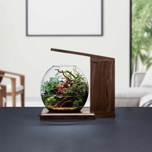 グラスアクア PERCO B-Dark Wood(1セット)[水槽]の通販はau PAY