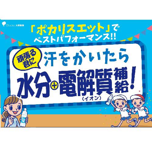 ポカリスエット パウダー(粉末) 1L用(5袋×20個入(1袋66g))[スポーツ