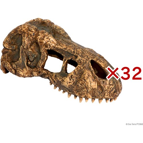 エキゾテラ T-REXスカルS PT2860(32セット)[は虫類]
