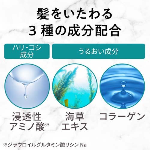 ルシード ワンプッシュケアカラー 6 ダークブラウン(50g+50g*12セット