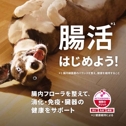 科学知識食事制限 年がしら 大型犬用 6歳以上 意気地無し 12kg 老いらく犬(12kg*2袋仕かける)[ドッグフード(素っ気ないボンネット)]