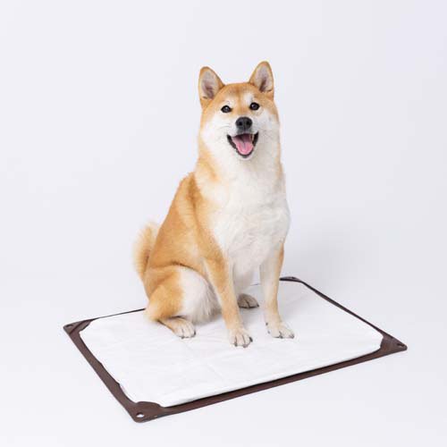 ワンコトイレマット ワイド(18セット)[ペットシーツ・犬のトイレ用品]_2