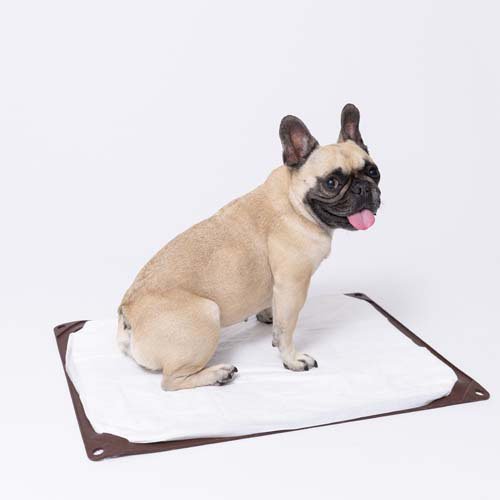 ワンコトイレマット ワイド(18セット)[ペットシーツ・犬のトイレ用品]_3