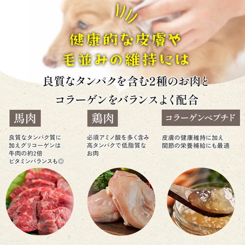 ミシュワン ドライフード 国産鶏肉・馬肉入り 3袋 ミシュワン