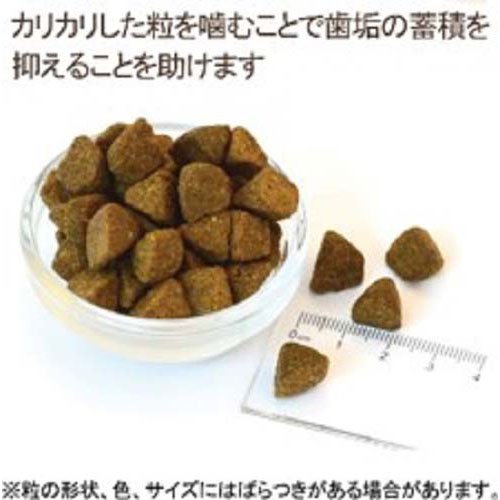 ウェルネス コア 高齢犬用(1.8kg×6セット)[ドッグフード(ドライフード)]_2