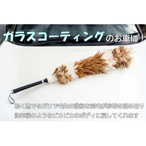 毛ばたき 鶏毛 全長約90.5cm(1本)[住居用掃除用品 その他]_3