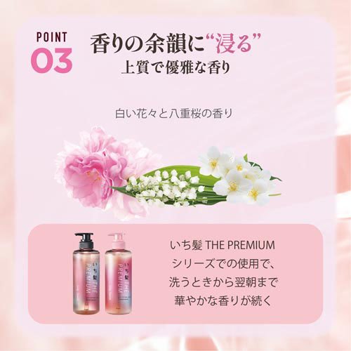 いち髪 THE PREMIUM モイスチャーメロウヘアパック(200g×12セット)[ダメージヘアトリートメント]_5
