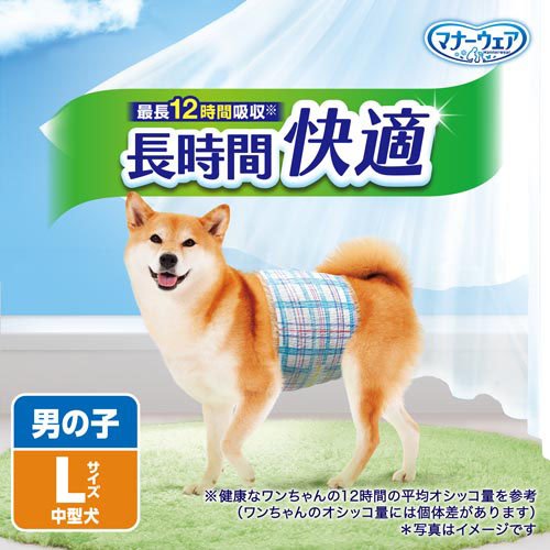 マナーウェア 長時間快適オムツ 男の子用 L 犬用(34枚入×16セット)[ペットシーツ・犬のトイレ用品]_1